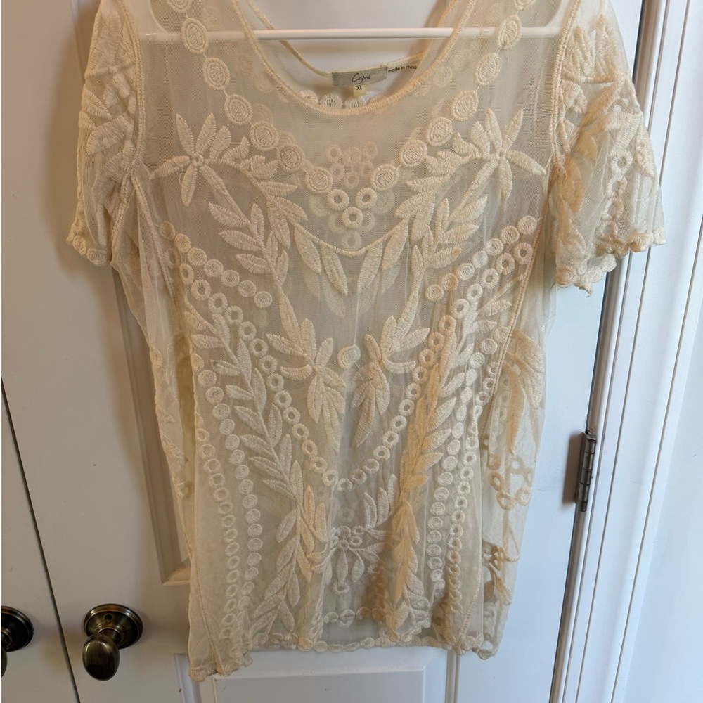 Embroidered Sheer Short-Sleeve Top in Cream